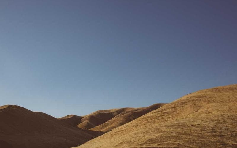 主题乐园人形机器人互动表演